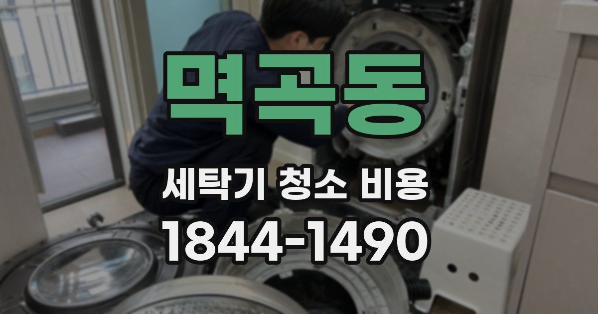 멱곡동 세탁기 청소 비용