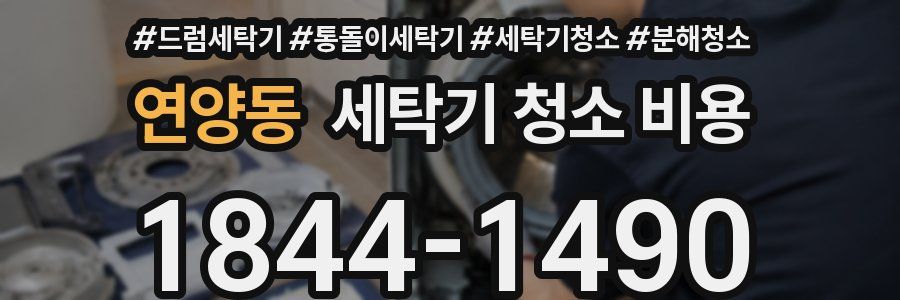 연양동 세탁기 청소 비용