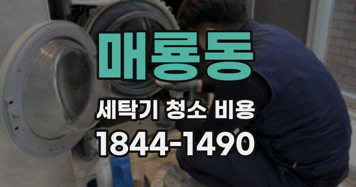 매룡동 세탁기 청소 비용