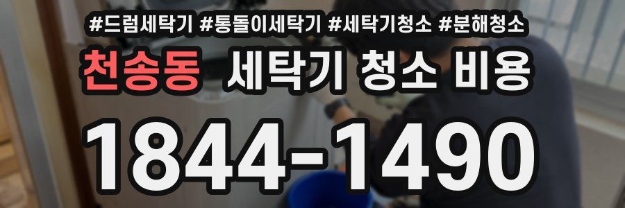 천송동 세탁기 청소 비용