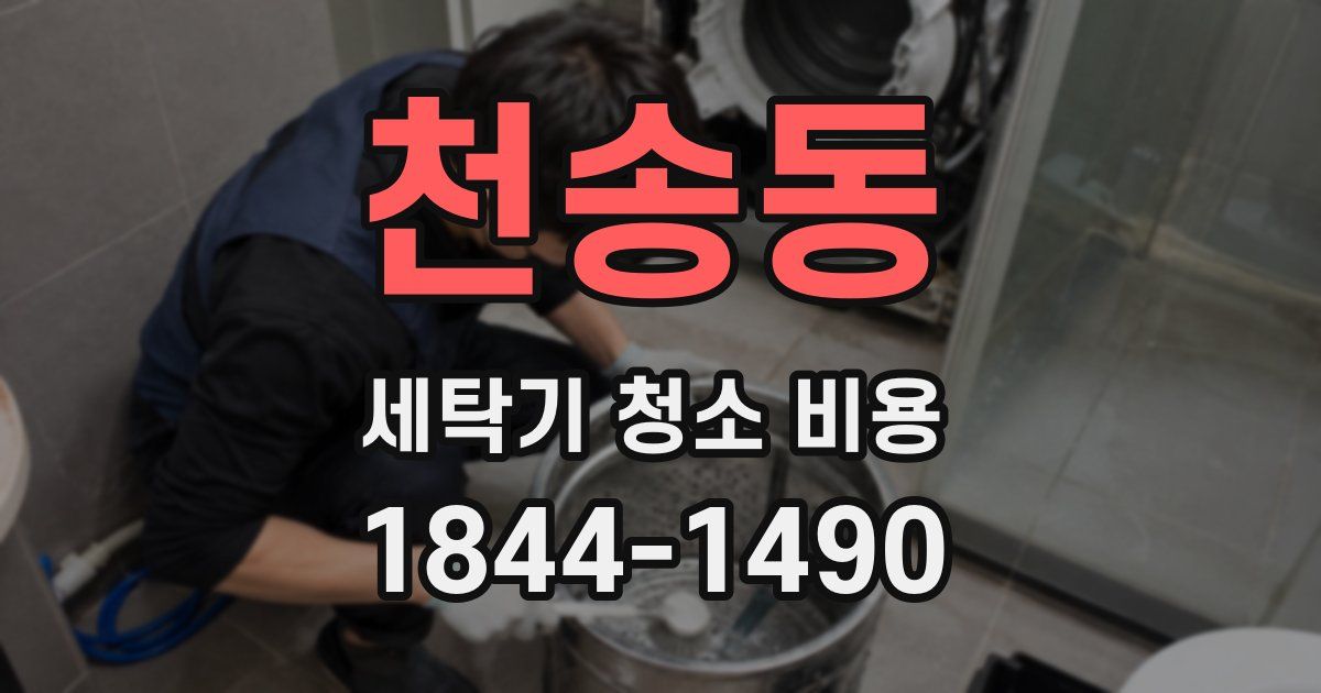 천송동 세탁기 청소 비용