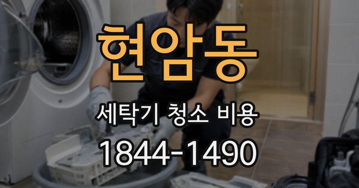 현암동 세탁기 청소 비용