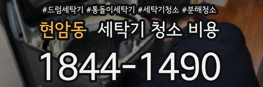 현암동 세탁기 청소 비용