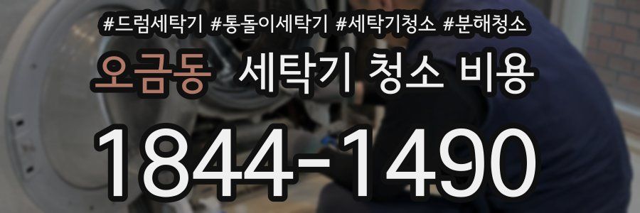 오금동 세탁기 청소 비용