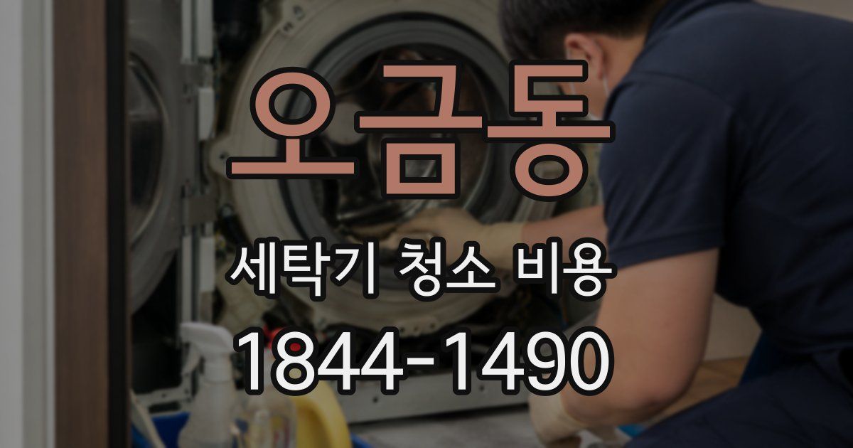 오금동 세탁기 청소 비용