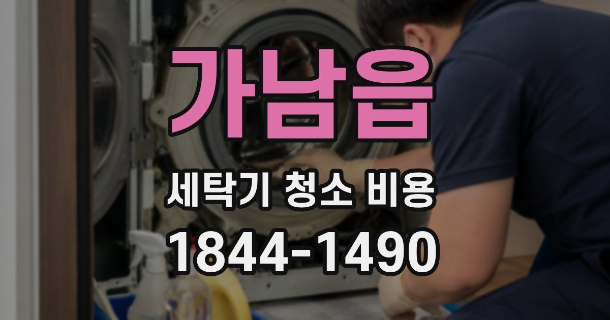 가남읍 세탁기 청소 비용