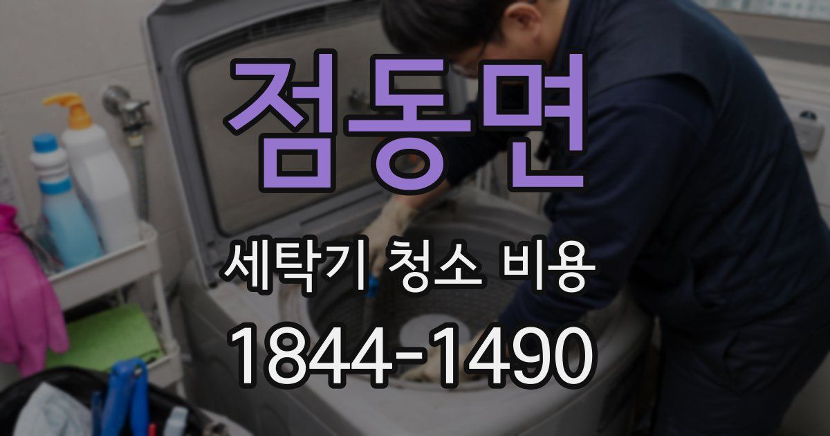 점동면 세탁기 청소 비용