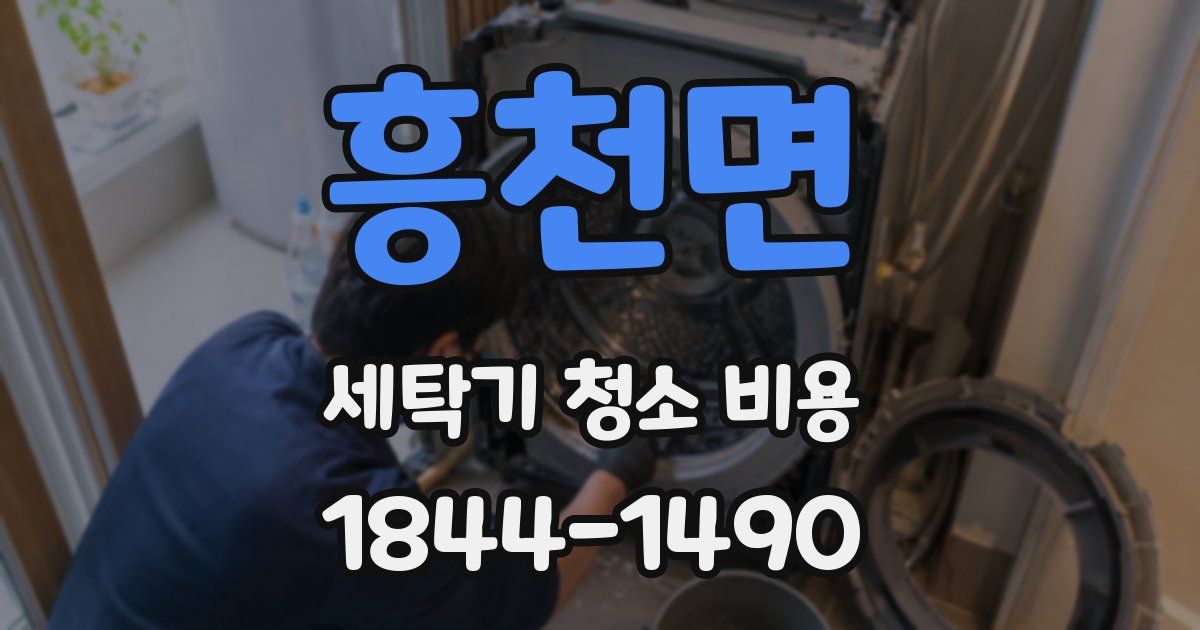 흥천면 세탁기 청소 비용
