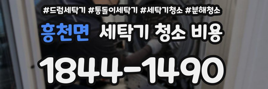 흥천면 세탁기 청소 비용
