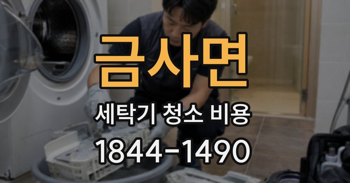 금사면 세탁기 청소 비용