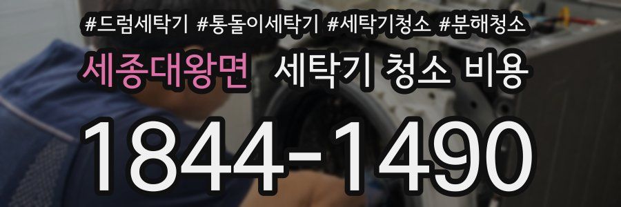 세종대왕면 세탁기 청소 비용