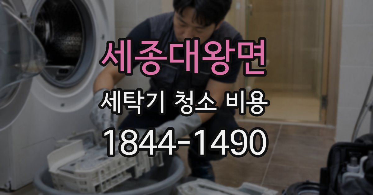세종대왕면 세탁기 청소 비용