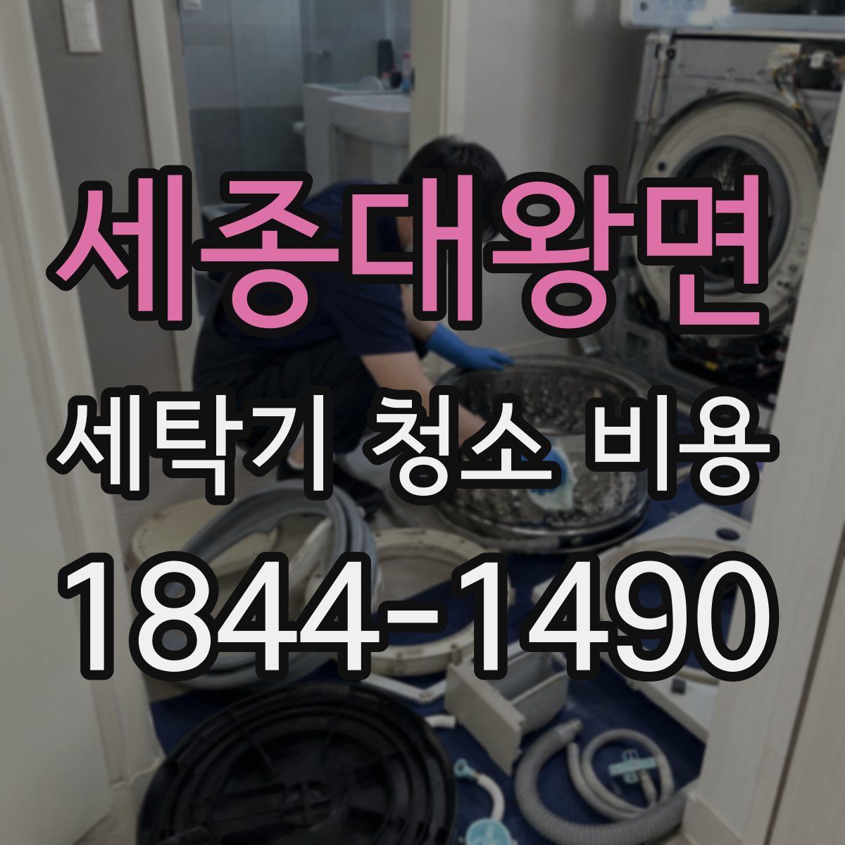 세종대왕면 세탁기 청소 비용