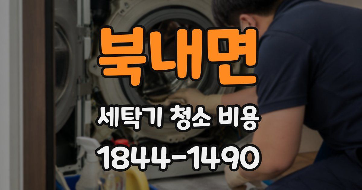 북내면 세탁기 청소 비용