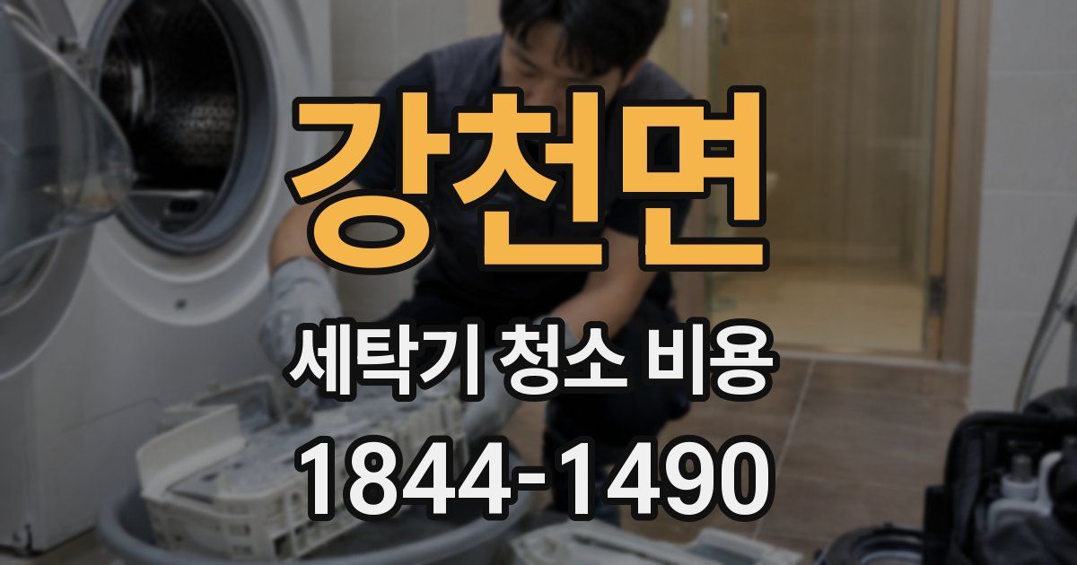 강천면 세탁기 청소 비용