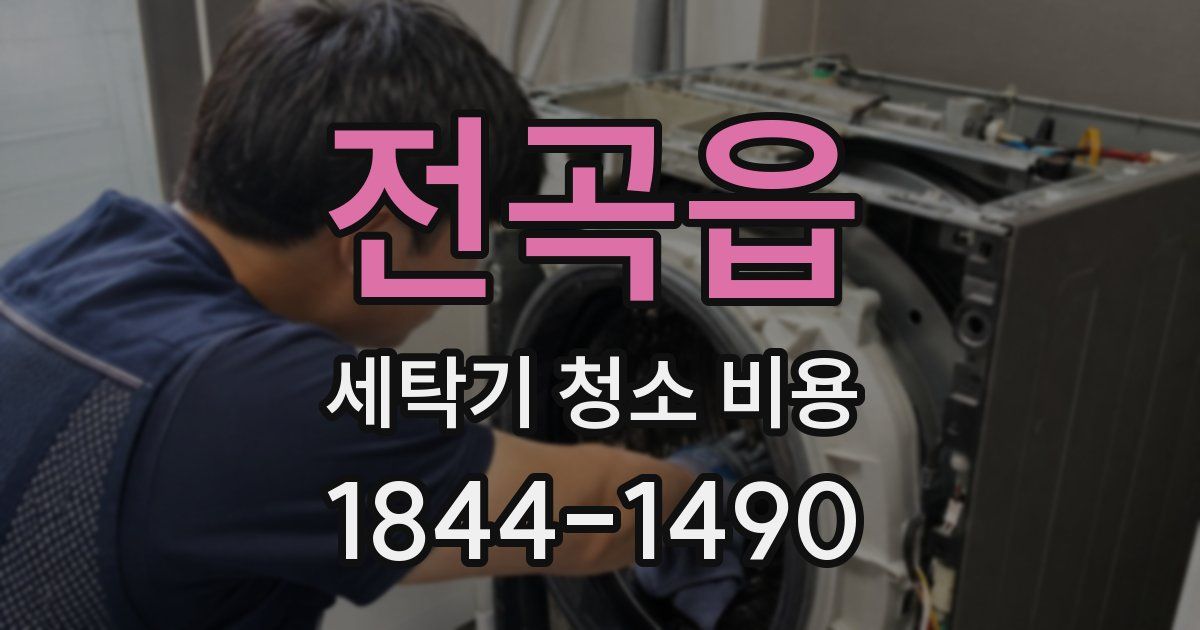 전곡읍 세탁기 청소 비용