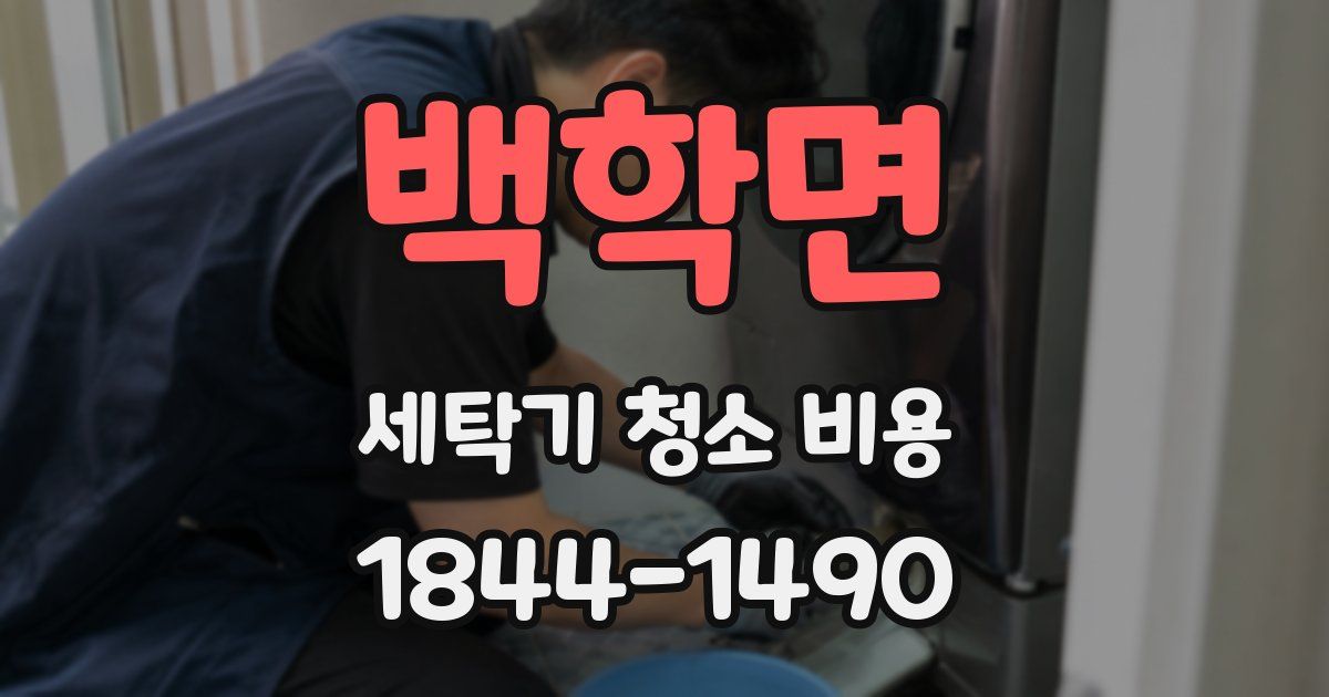 백학면 세탁기 청소 비용