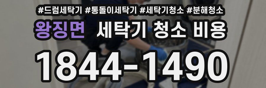 왕징면 세탁기 청소 비용
