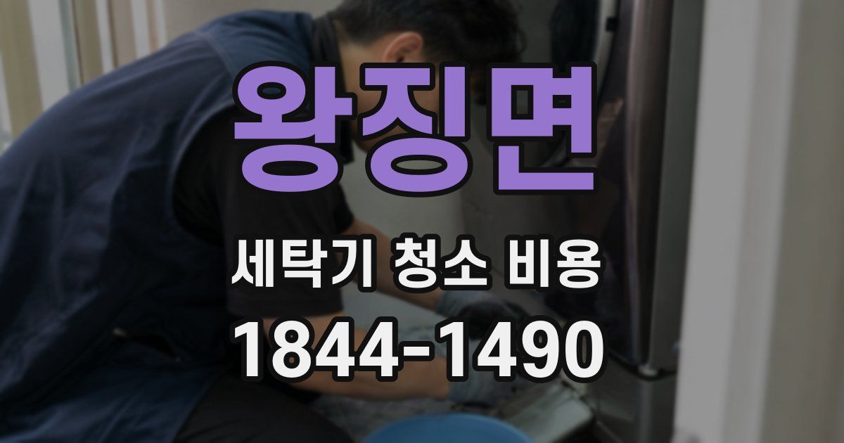 왕징면 세탁기 청소 비용