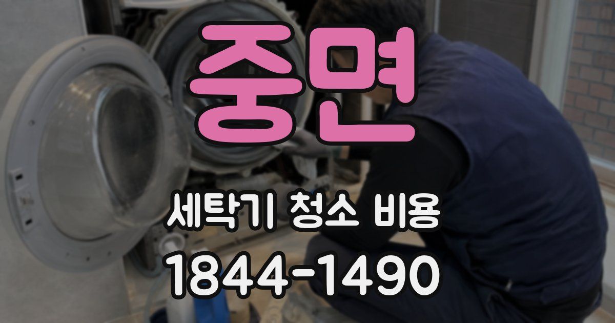 중면 세탁기 청소 비용