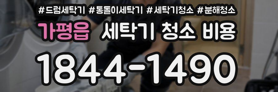 가평읍 세탁기 청소 비용