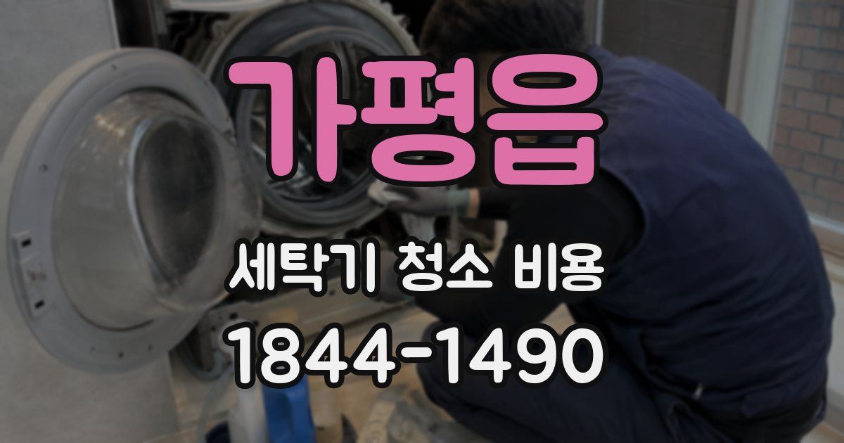 가평읍 세탁기 청소 비용