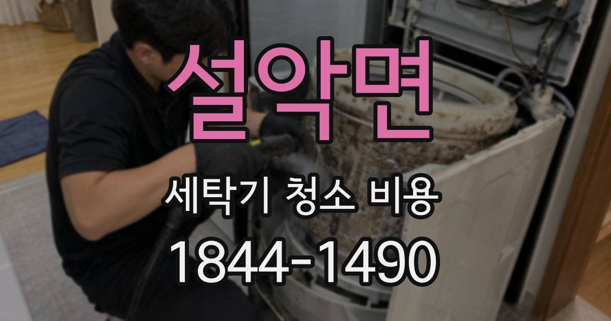 설악면 세탁기 청소 비용