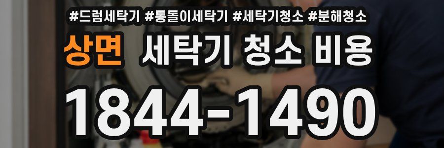 상면 세탁기 청소 비용