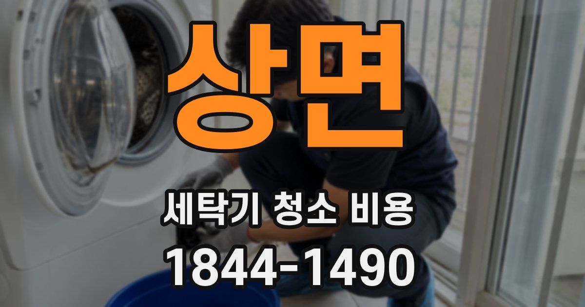 상면 세탁기 청소 비용
