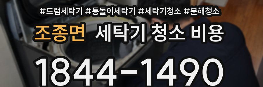 조종면 세탁기 청소 비용