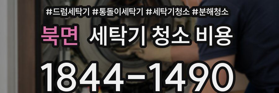 북면 세탁기 청소 비용