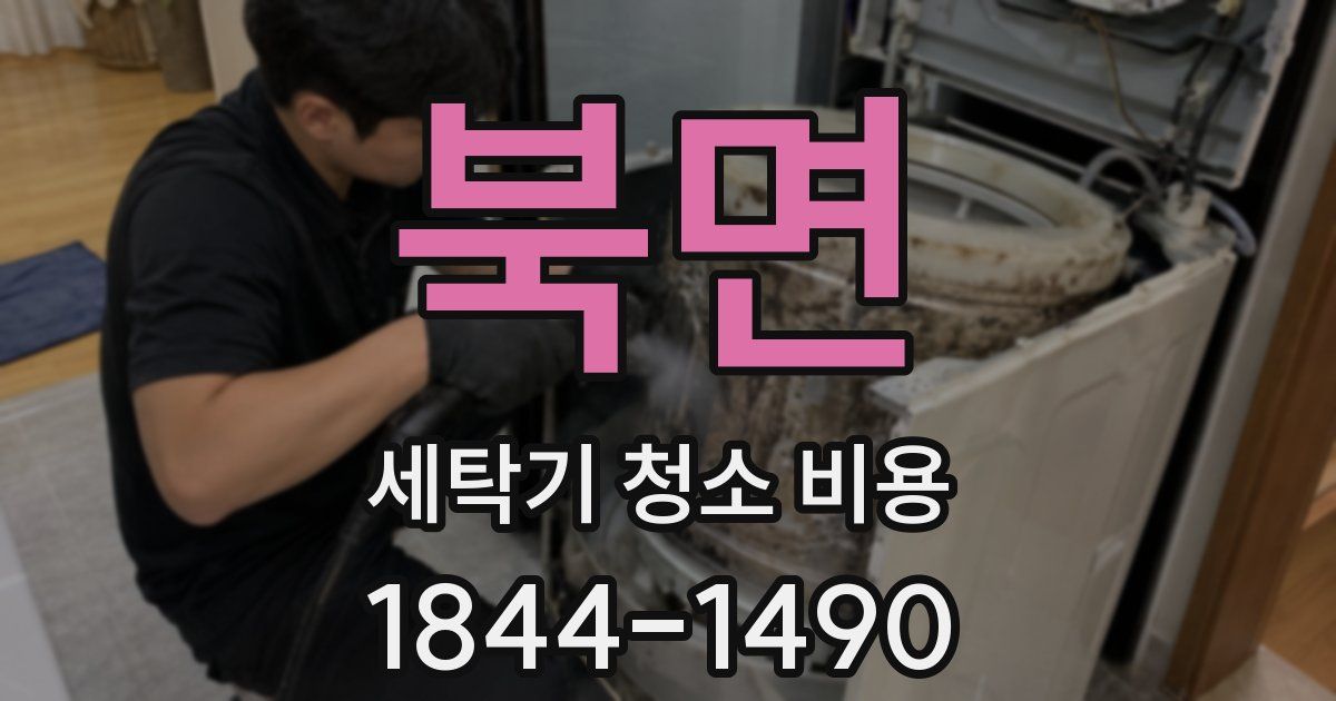 북면 세탁기 청소 비용