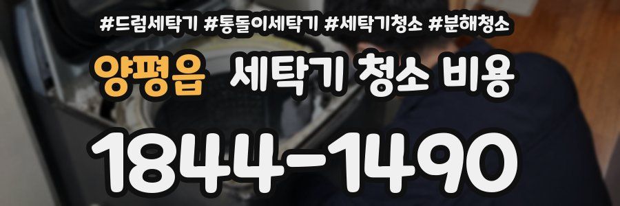 양평읍 세탁기 청소 비용