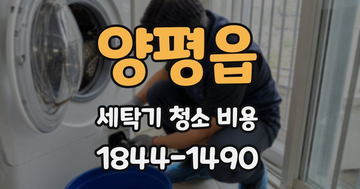 양평읍 세탁기 청소 비용