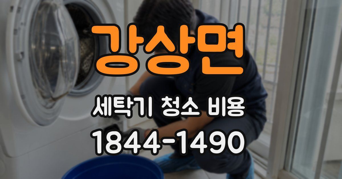 강상면 세탁기 청소 비용