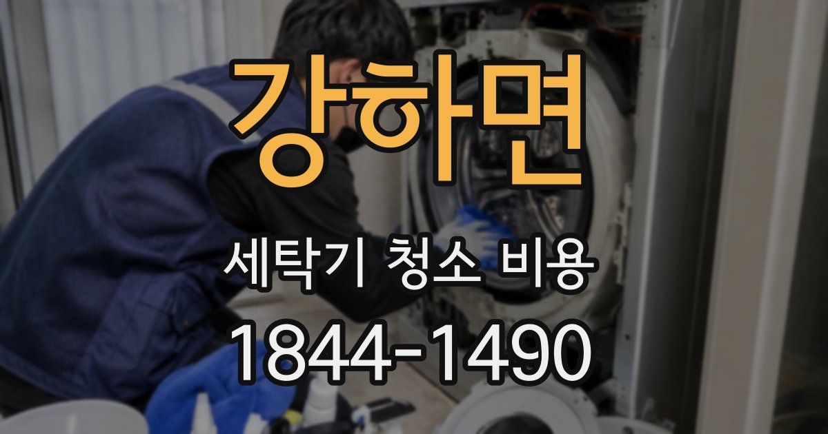 강하면 세탁기 청소 비용