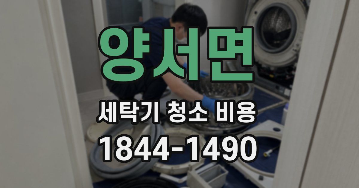 양서면 세탁기 청소 비용