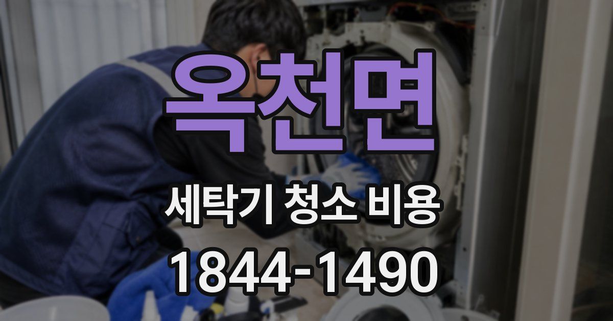 옥천면 세탁기 청소 비용
