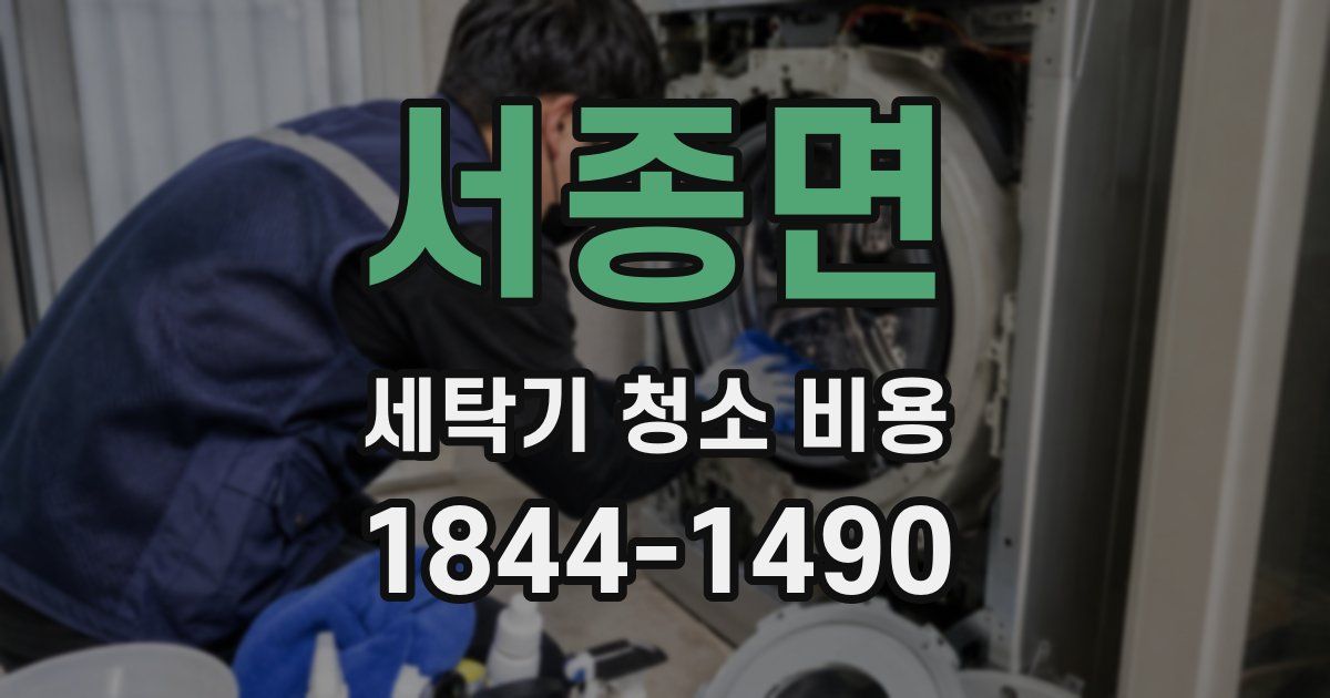 서종면 세탁기 청소 비용