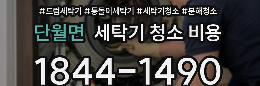 단월면 세탁기 청소 비용