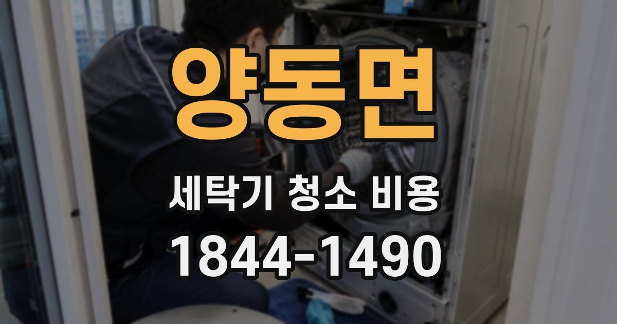 양동면 세탁기 청소 비용