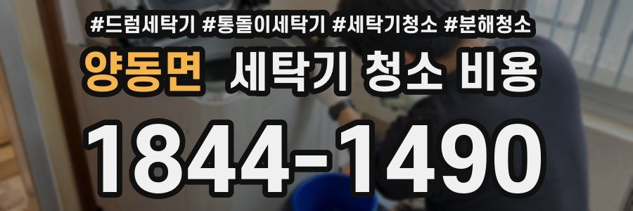 양동면 세탁기 청소 비용