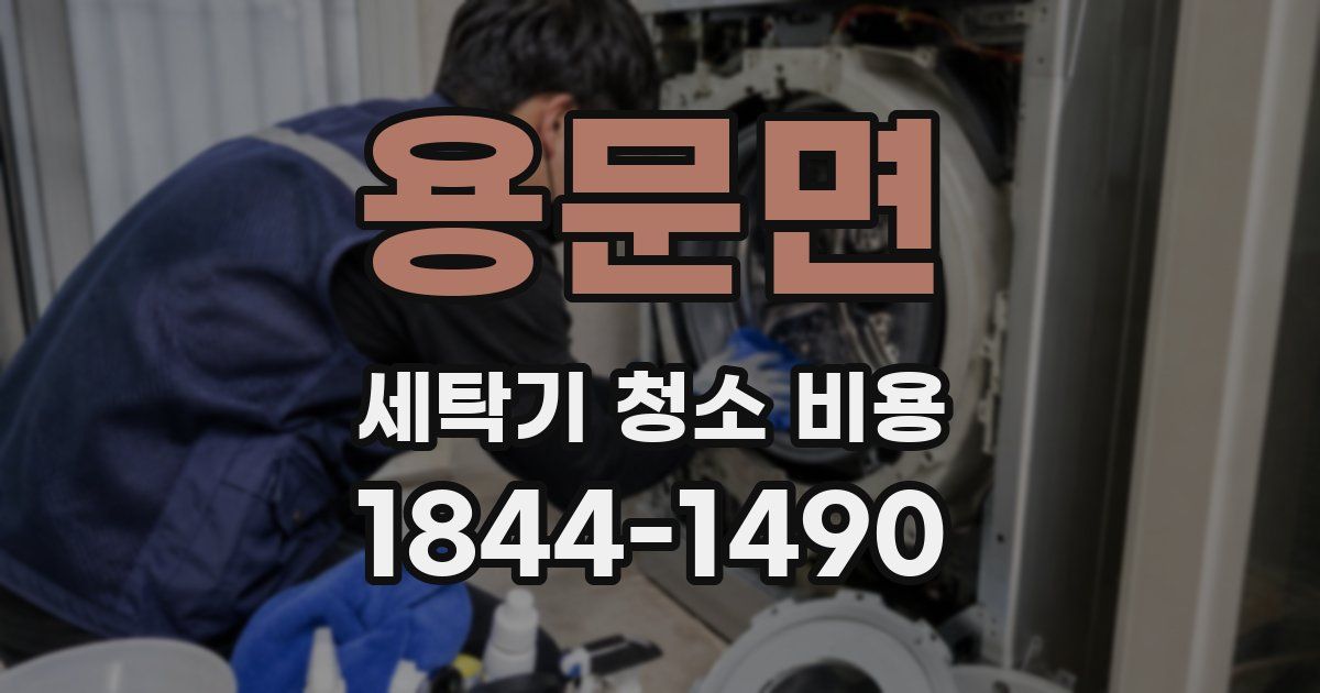 용문면 세탁기 청소 비용