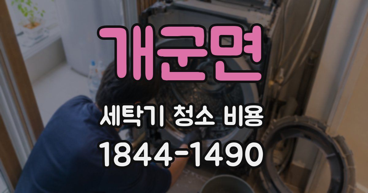 개군면 세탁기 청소 비용