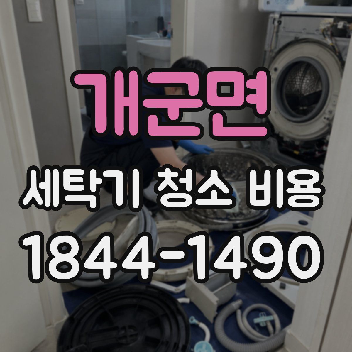 개군면 세탁기 청소 비용