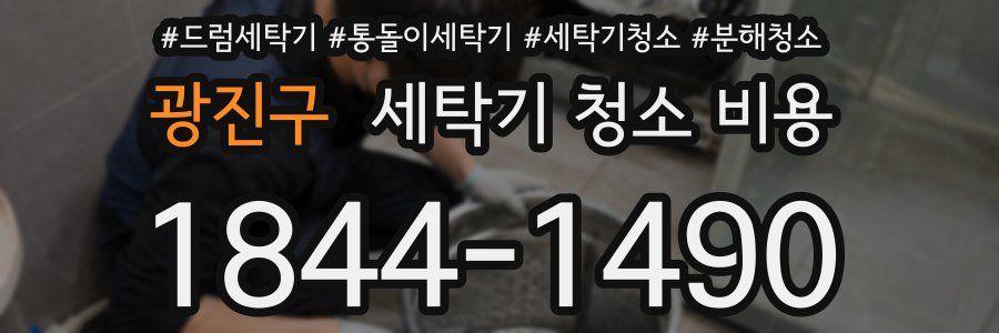 광진구 세탁기 청소 비용