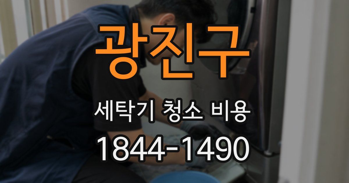 광진구 세탁기 청소 비용