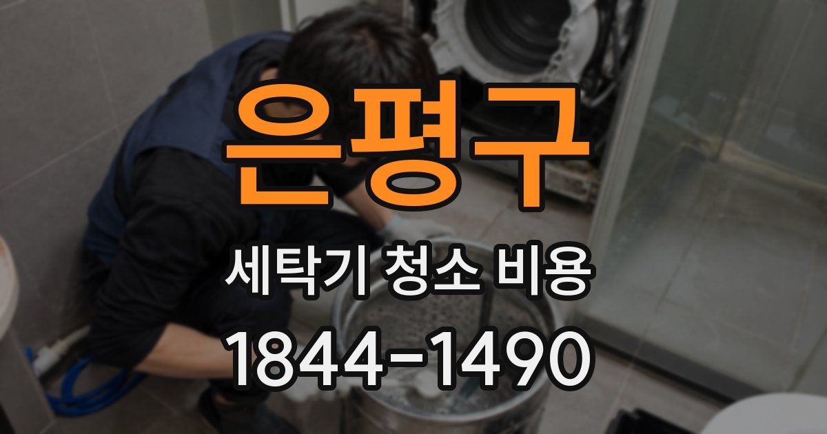 은평구 세탁기 청소 비용