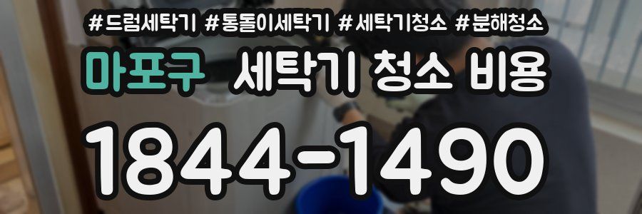 마포구 세탁기 청소 비용