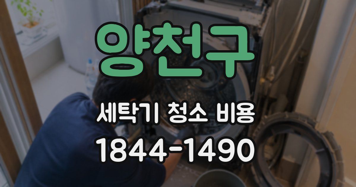 양천구 세탁기 청소 비용